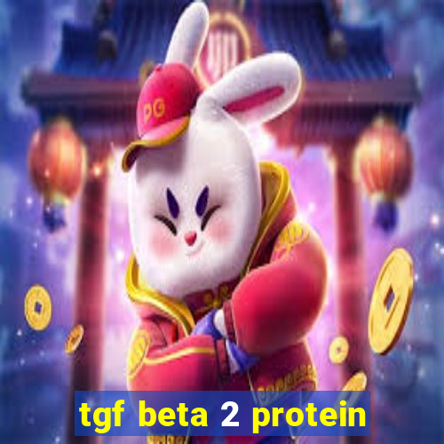 tgf beta 2 protein